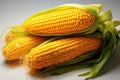 Organic Yellow Sweet Corn close-up