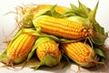 Organic Yellow Sweet Corn close-up