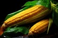 Organic Yellow Sweet Corn close-up