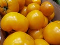 Organic yellow tomatoes in the store, natural, ecological yellow tomatoes Royalty Free Stock Photo