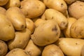 Organic young potatoes on market Royalty Free Stock Photo