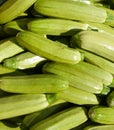 Organic Zucchini Squash Royalty Free Stock Photo