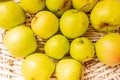 organically grown green apples fruit in a wicker basket, top view