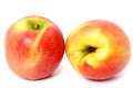 Organically Grown Pink Lady Apple Royalty Free Stock Photo