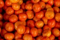 Organically grown tangerines in a greengroce`s shop Royalty Free Stock Photo