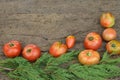 Organically grown tomatoes background
