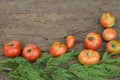 Organically grown tomatoes background Royalty Free Stock Photo