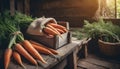 Organically produced and harvested vegetables and fruits from the farm. carrots in wooden crates and sacks.