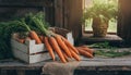 Organically produced and harvested vegetables and fruits from the farm. Carrots in wooden crates and sacks.