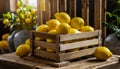 Organically produced and harvested vegetables and fruits from the farm. Fresh lemons in wooden crates and sacks. Royalty Free Stock Photo