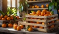 Organically produced and harvested vegetables and fruits from the farm. Fresh Tangerines in wooden crates and sacks.