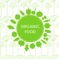 Organik food poster, background Royalty Free Stock Photo