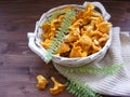 Organik wild chanterelle mushroom of Belarus