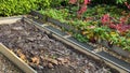 Organised raised garden beds in a private home