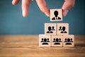 Organization and team structure symbolized with cubes Royalty Free Stock Photo