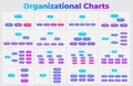 Organizational Chart Infographic Templates. Modern Hierarchy Diagrams for Business and Company Structure Presentations Royalty Free Stock Photo