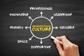 Organizational culture - collection of values, expectations, and practices that guide and inform the actions of all team members,