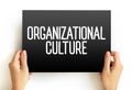 Organizational culture - collection of values, expectations, and practices that guide and inform the actions of all team members,