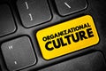 Organizational culture - collection of values, expectations, and practices that guide and inform the actions of all team members,