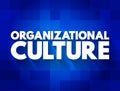 Organizational culture - collection of values, expectations, and practices that guide and inform the actions of all team members,