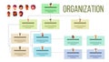 Organizational Structure, Company Organogram, Flowchart Vector Layout