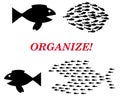 Organize concept