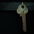 Organize your life, insurance and security concept: a key hanging on golden hook in a key holder box cabinet, black background. Royalty Free Stock Photo