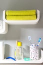 Bathroom shelves with hygiene utensils and towels