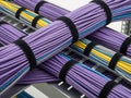 Organized network cables in patch panel Royalty Free Stock Photo