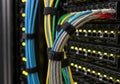 Organized network cables plugged into server provide reliable connectivity Royalty Free Stock Photo