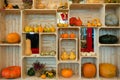 Organized setting of different types of pumpkins, autumn harvest, Halloween decorations