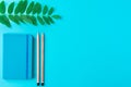 Organizer pencils twig of house plant on blue tabletop background. Creative minimalist flat lay knolling. Freelance
