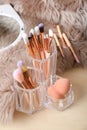 Organizer with set of professional makeup brushes Royalty Free Stock Photo
