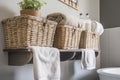 organizing and storage solutions using containers, hooks, and baskets for the bathroom