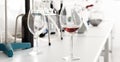 Organoleptic characteristic for wine in laboratory of wunery of Royalty Free Stock Photo