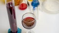 organoleptic characteristic for wine in laboratory of wunery Royalty Free Stock Photo