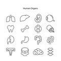 icon muscle, liver, stomach, kidney, urinary, eyeball, bone, lung, neuron outline pictogram