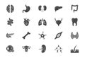 Organs line icons. Vector illustration include icon - muscle, liver, stomach, kidney, urinary, eyeball, bone, lung