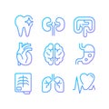 Organs regular checkup pixel perfect gradient linear vector icons set Royalty Free Stock Photo