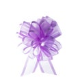 Organza ribbon bow