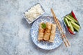 Orginal asian deep fried spring rolls placed on beautiful oriental style plate Royalty Free Stock Photo