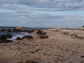 Orient Point NY,s Rocky Shoreline Royalty Free Stock Photo