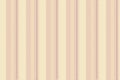 Oriental background vector lines, commercial seamless vertical textile. Setting texture stripe fabric pattern in light and pink Royalty Free Stock Photo