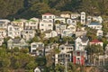 Oriental Bay villas, Wellington, New Zealand