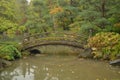 An Oriental Bridge in a Japanese Garden