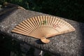 Oriental carved wood hand fan Royalty Free Stock Photo