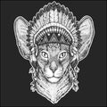 Oriental cat with big ears Cool animal wearing native american indian headdress with feathers Boho chic style Hand drawn