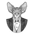 Oriental cat with big ears Hipster animal Hand drawn illustration for tattoo, emblem, badge, logo, patch, t-shirt