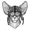 Oriental cat Hipster animal wearing motorycle helmet. Image for kindergarten children clothing, kids. T-shirt, tattoo