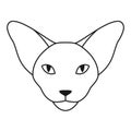 Oriental cat logo or icon. Oriental shorthair or Sphynx cat head in outline style. Front view. Vector